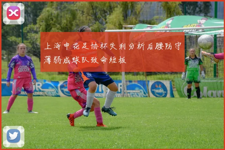 上海申花足协杯失利分析后腰防守薄弱成球队致命短板